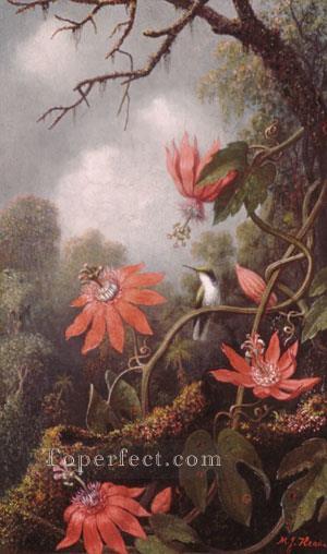 ハチドリと情熱 マーティン・ジョンソン ヘッドの鳥油絵